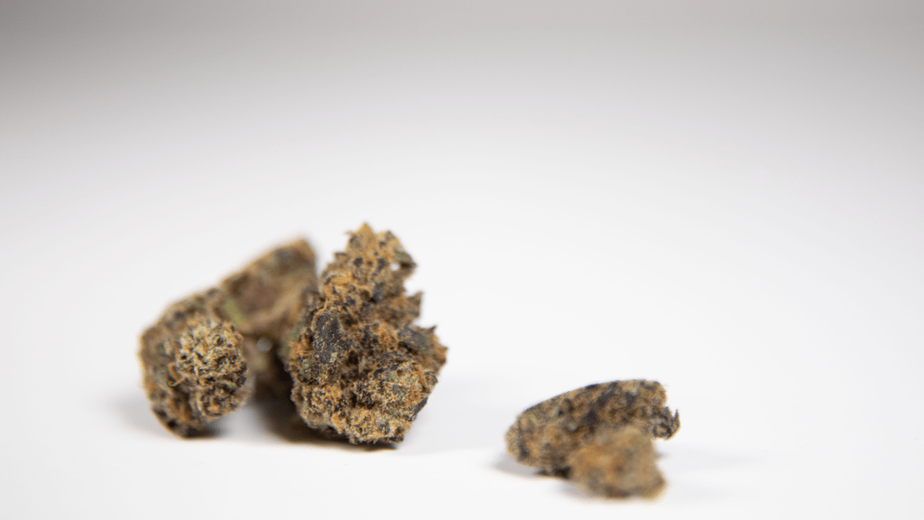 Understanding Low THC Cannabis vs. Medical Cannabis